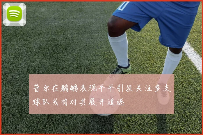 普尔在鹈鹕表现平平引发关注多支球队或将对其展开追逐