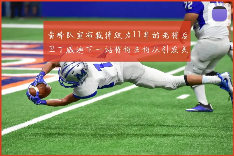 黄蜂队宣布裁掉效力11年的老将后卫丁威迪下一站将何去何从引发关注