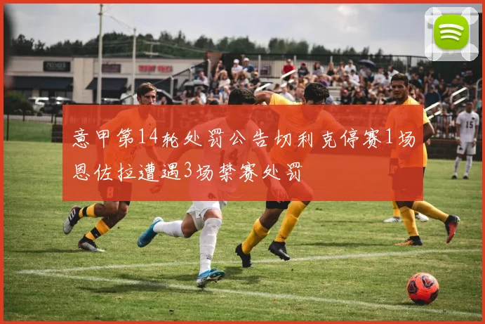 意甲第14轮处罚公告切利克停赛1场恩佐拉遭遇3场禁赛处罚