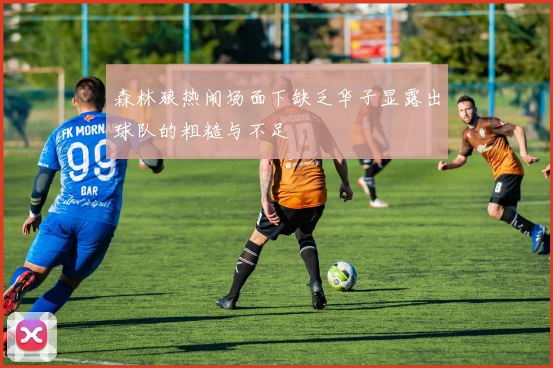 森林狼热闹场面下缺乏华子显露出球队的粗糙与不足