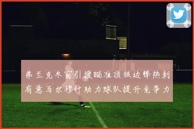 弗兰克冬窗引援瞄准顶级边锋热刺有意马尔穆什助力球队提升竞争力