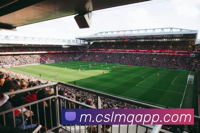 中超买球官网品牌故事