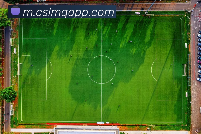 中超买球官网服务体系