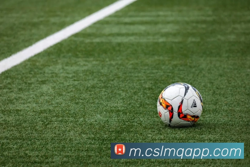 中超买球官网APP 体育赛事宣传图